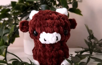 Highland cow